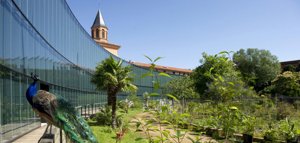 Muséum d'histoire naturelle de Toulouse - Espace Pédagogique des médiation